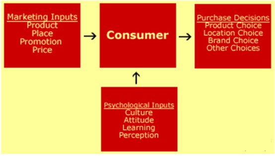 Consumer buying considerations
