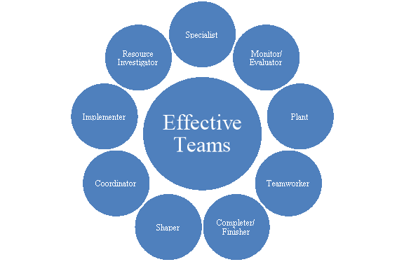 Belbin's framework